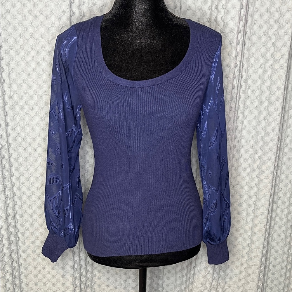 Blue Knit Top with Sheer Sleeves